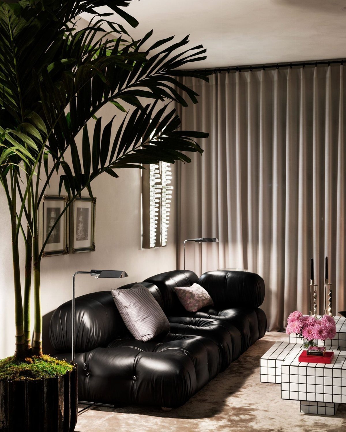 Black leather modular sofa in a modern living room with a palm plant.