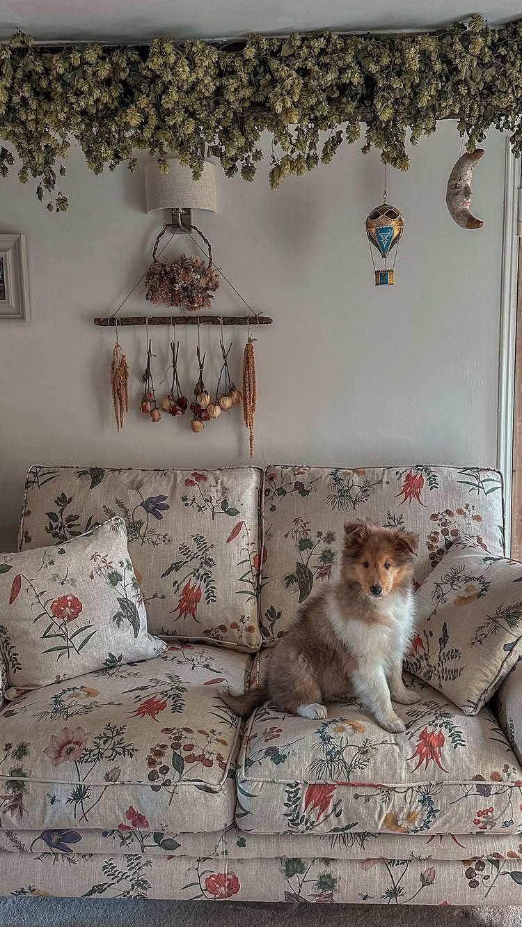 Dog sitting on a beige sofa featuring a red and green floral pattern.