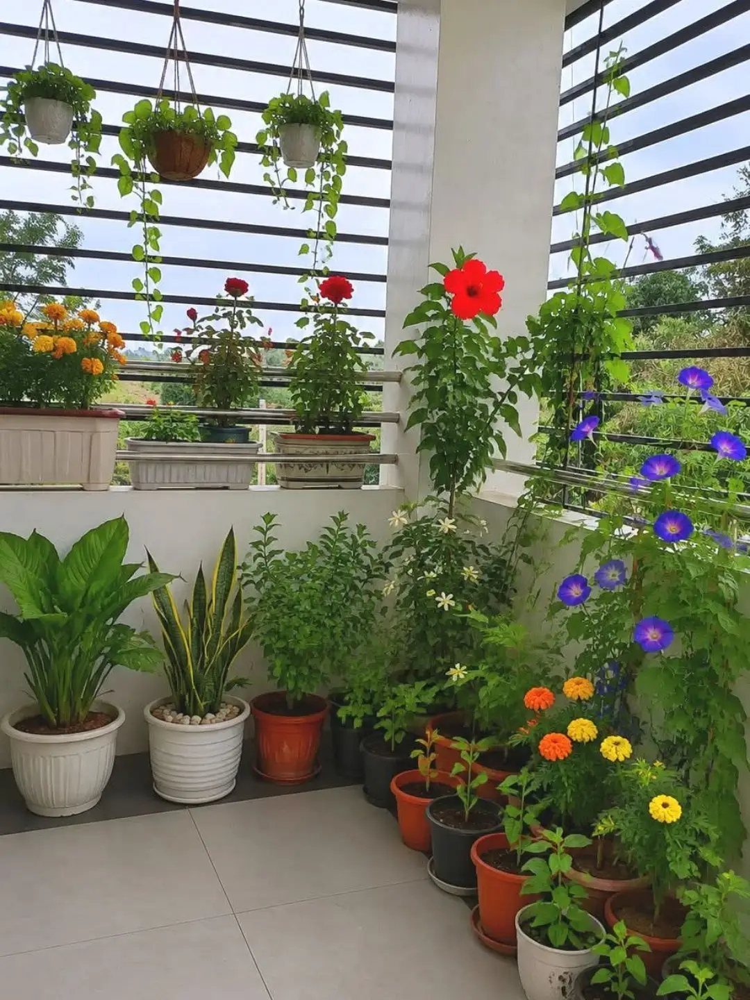 Numerous potted plants and flowers arranged on a small balcony with hanging planters.