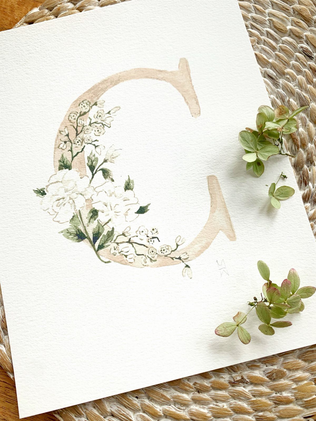 Watercolor letter C decorated with white flowers and green leaves on white paper