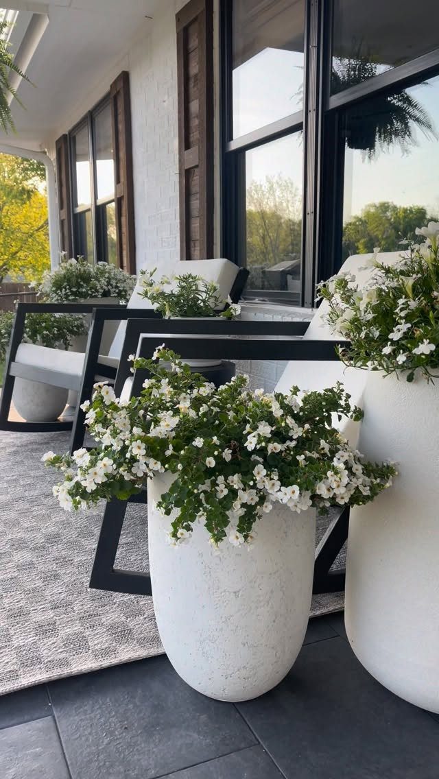 Black framed chairs with white cushions and white flower planters on a porch.