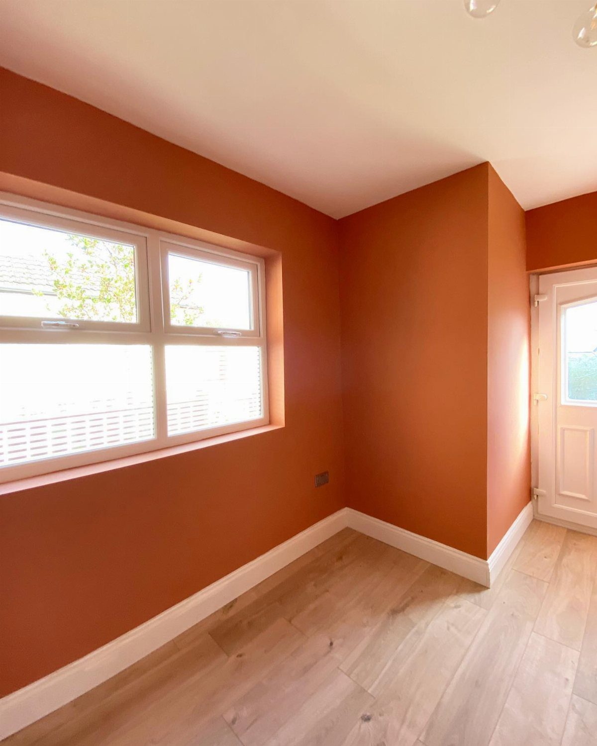 Orange painted walls in an empty room with light wood floors and window.