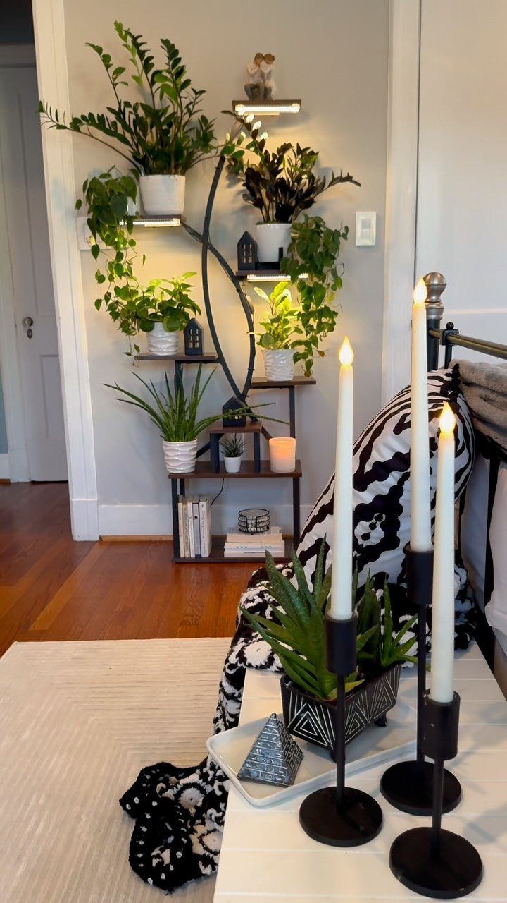 Potted plants on a black tiered metal stand with integrated lighting against a wall.