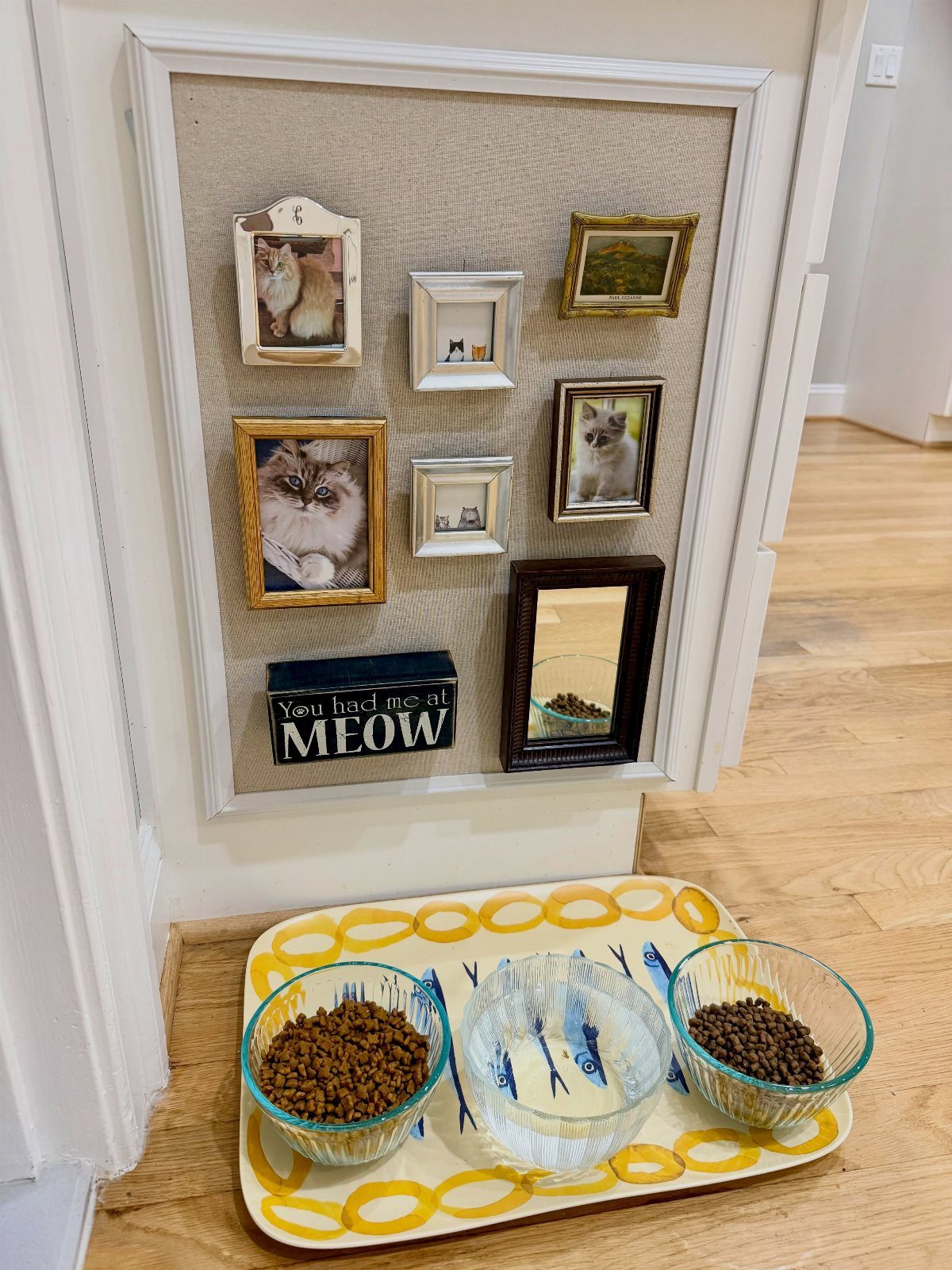 Framed corkboard with cat photos and a mirror above cat food bowls.