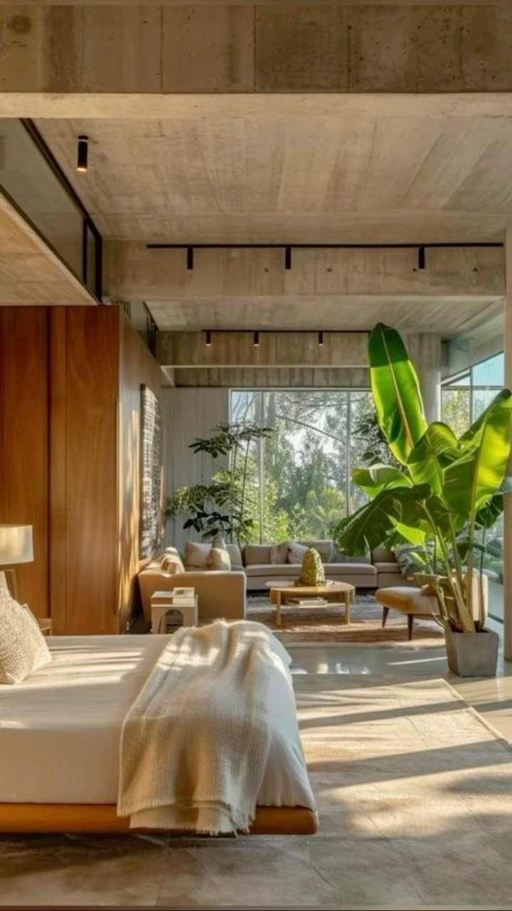 Modern interior with concrete ceilings, wooden walls, and large green indoor plants.