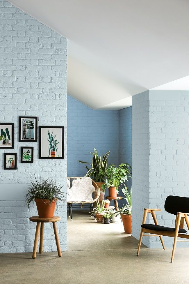 Light blue painted brick walls in a bright room with plants and art.