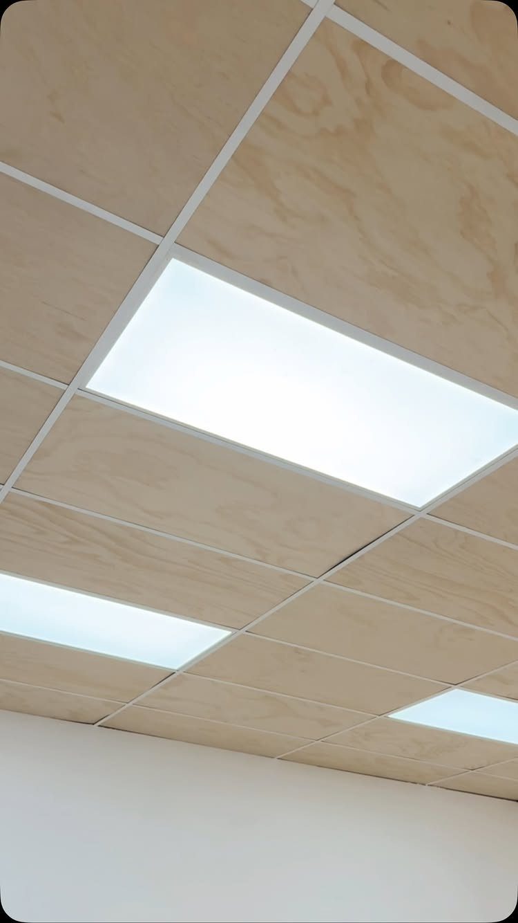 Modern drop ceiling with light wood panels and integrated rectangular LED light fixtures.