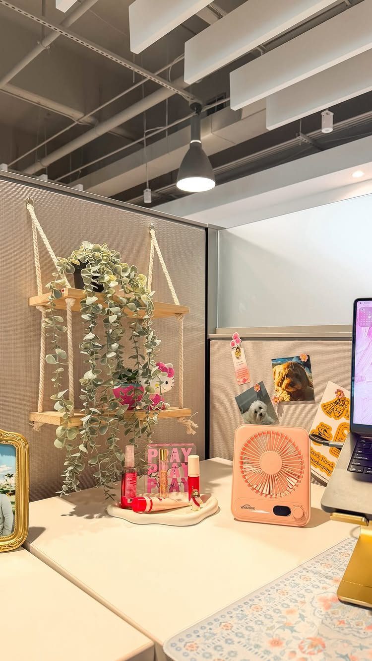 Trailing green plants on a hanging wooden shelf in a decorated office cubicle.