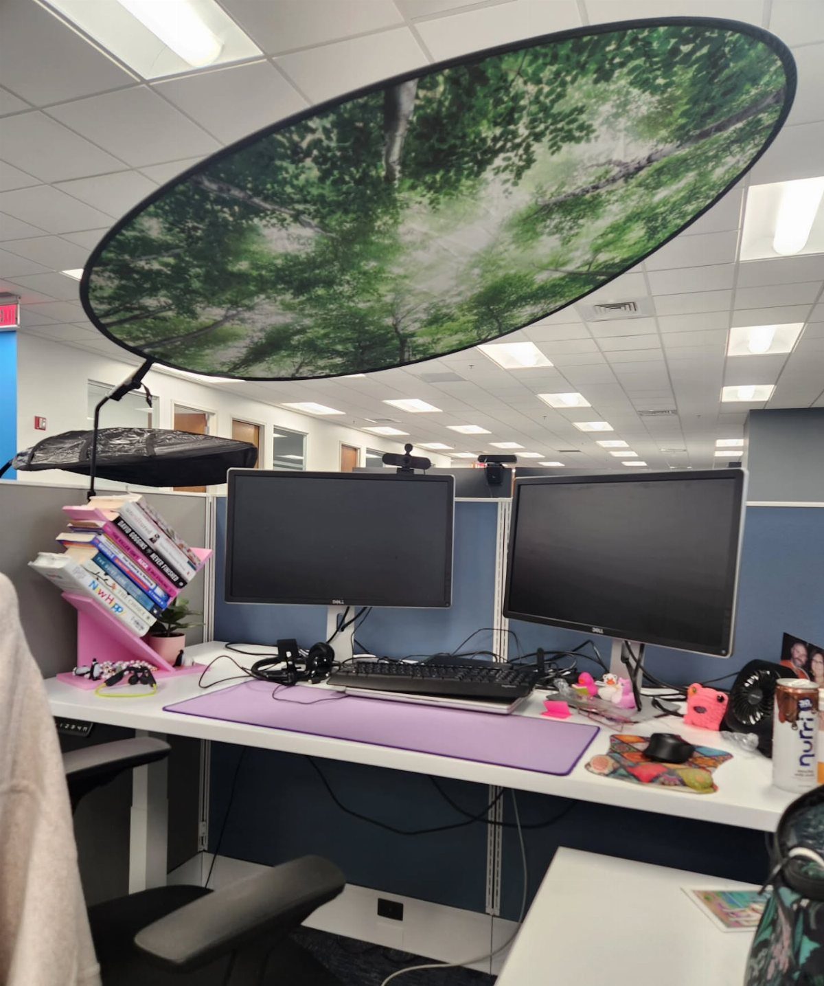 Office cubicle desk with dual monitors and a forest canopy overhead light filter.