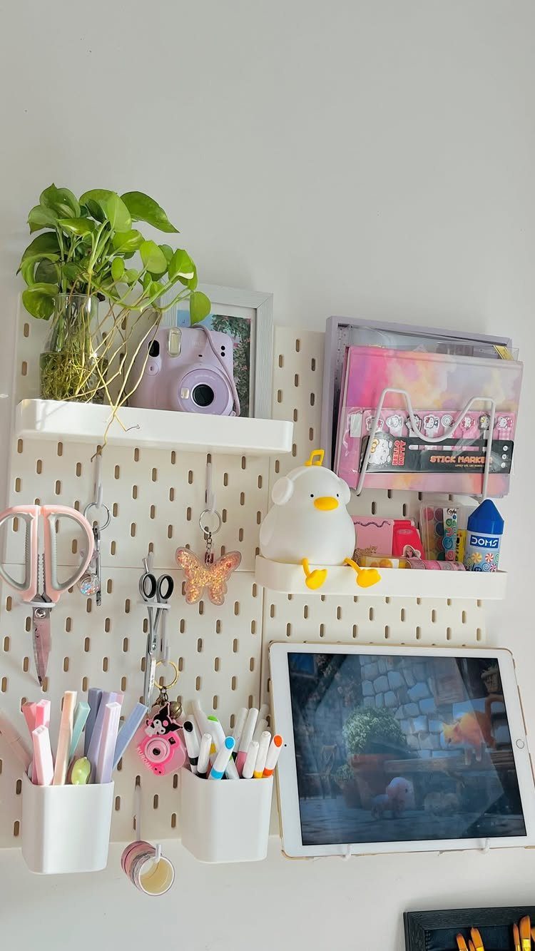 White pegboard with shelves holding a plant, camera, markers, and a tablet.