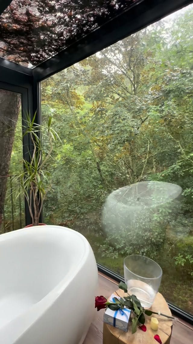 White freestanding bathtub positioned next to a large window with a forest view.