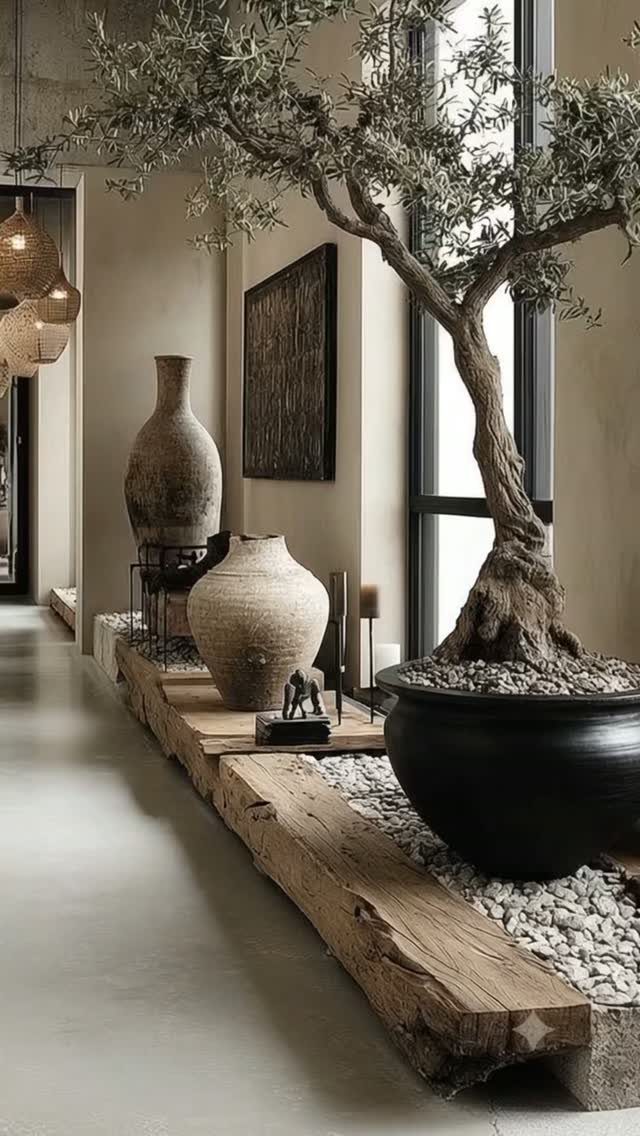 Olive tree in a black pot on a rustic wooden beam with clay vases.
